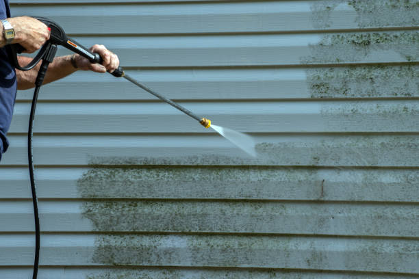 Best House Exterior Washing  in Mckenzie, TN